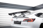 pol_po_Carbon-Spoiler-Tesla-Model-3-20999_17
